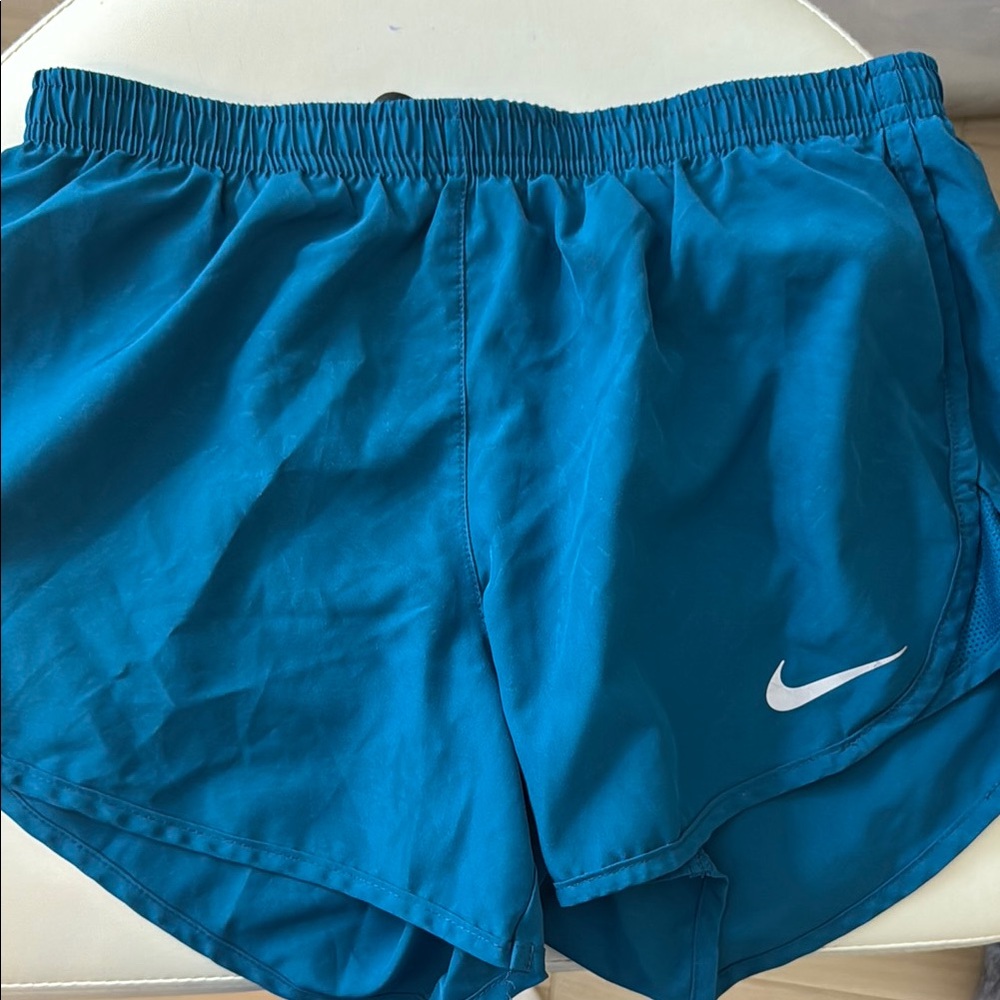 Nike Women's Blue Shorts